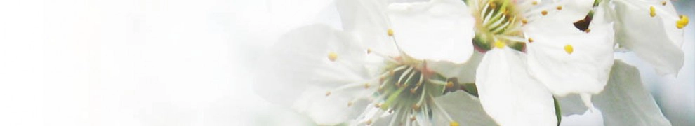 Floral watercolor banner